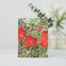 Search for poppy design postcards Red