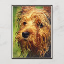 Recherche de yeux de chien cartes postales Visage