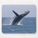 Search for breaching mousepads Whale