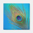 Search for peacock feather pattern magnets Bird