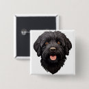 Search for labradoodle buttons Puppy