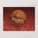 Recherche de mitose posters Science