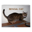Search for bengal cat calendars Breed