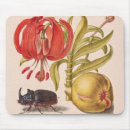 Recherche de le fruit tapis souris Pour enfants