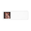 Search for sphynx cat return address labels Feline