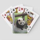 Search for panda playing cards Nature