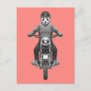 Recherche de casque moto cartes postales Animal habillé