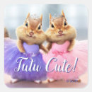 Search for cute chipmunk stickers Ballerina