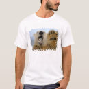 Search for ice pack tshirts Threatened