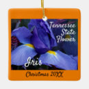 Search for iris ornaments Nature