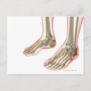 Search for bones stamps posters People