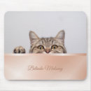 Search for peeking in mousepads Cat