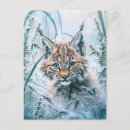 Search for lynxes postcards Snow
