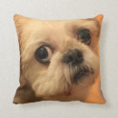 Recherche de shihtzu coussins Chien