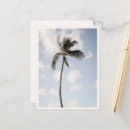 Search for blue palm tree postcards Retro