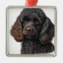Search for black poodle ornaments Puppy