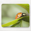 Search for sit ups mousepads Nature