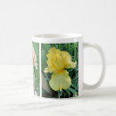 Recherche de iris jaunes tasses Violet