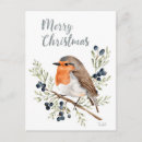 Search for robin redbreast christmas cards Bird