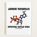 Search for adenosine triphosphate Atp