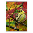 Recherche de chardonnerets cartes postales Nature