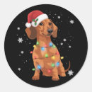Search for dachshunds stickers Dachshund lover