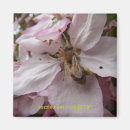 Search for pollen photography Nature