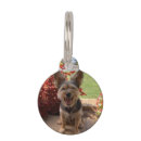 Search for photo pet tags Cute