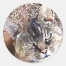 Search for tabby cat stickers Watercolor