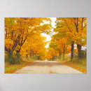 Search for tree line posters Nature