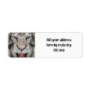Search for tigers return address labels Wild animal