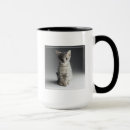 Search for grey kitten mugs Pets