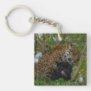 Search for jaguars keychains Big cat
