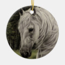 Search for paint horse ornaments Pony