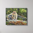 Search for cute squirrel art Forest