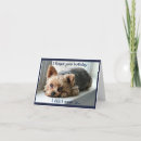 Search for yorkie birthday cards Photography