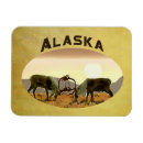 Search for carib magnets Reindeer