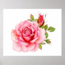 Recherche de beautiful pink rose posters Pour tous