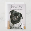 Search for getting married invitations Cute