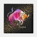 Search for signs magnets Zodiac