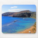 Search for honolulu mousepads Nature