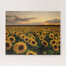 Recherche de fleur jaune puzzles Ferme