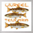 Recherche de pêche mouche posters Truite