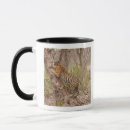 Search for bengal tiger mugs Wildlife