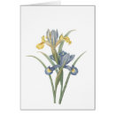Recherche de cru floral copies Illustration