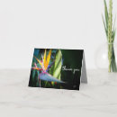 Search for tropical plants cards Floral