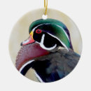 Search for wood duck ornaments Drake