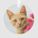 Recherche de animaux mémoriaux ornements Mignon