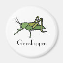 Recherche de sauterelle magnets Dessin