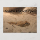 Recherche de vip cartes postales Serpent